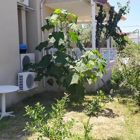 Oliva * Dalaman